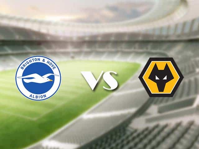 Soi kèo nhà cái trận Brighton vs Wolves, 03/01/2021