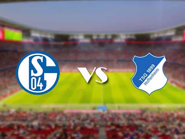 Soi kèo nhà cái trận Schalke 04 vs Hoffenheim, 9/1/2021