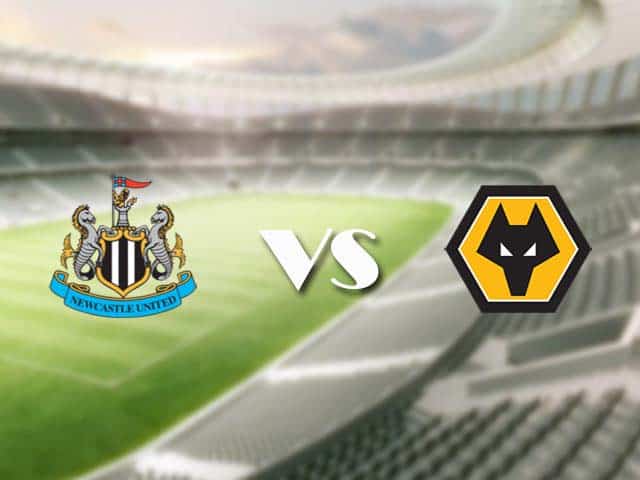 Soi kèo nhà cái trận Newcastle vs Wolves, 28/2/2021