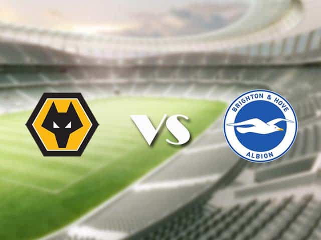 Soi kèo nhà cái trận Wolves vs Brighton, 09/05/2021