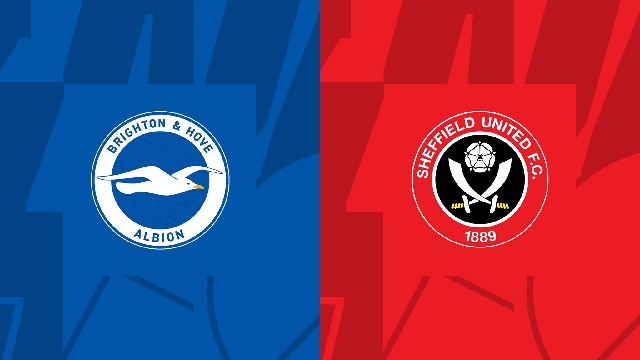 Soi kèo bóng đá SBO Brighton vs Sheffield United ngày 12/11/2023 – Vòng 12 Ngoại Hạng Anh